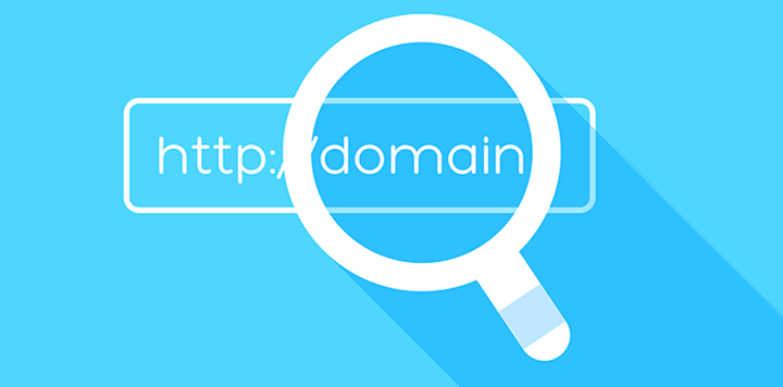domain search 1